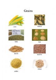 English Worksheet: Grains