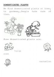 English Worksheet: DOMESTICATED PLANTS