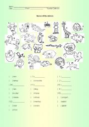 English Worksheet: Animals