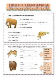 Wild Animals Descriptions