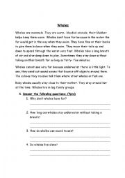 English Worksheet: Whales