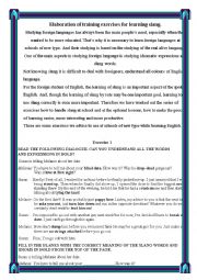 English Worksheet: Elaboration of training exercises for learning slang.