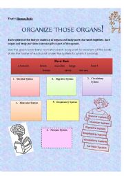 Human Body Systems Voabulary Worksheet