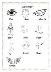 English Worksheet: Parts of the body 