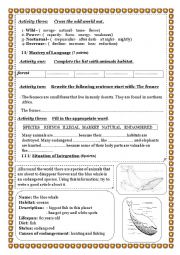 English Worksheet: The Bengal tiger 