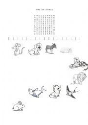 English Worksheet: Name the Animals