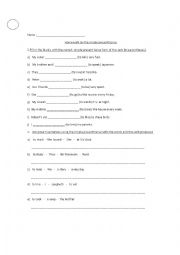 English Worksheet: simple present tense