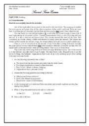 English Worksheet: the rainforest