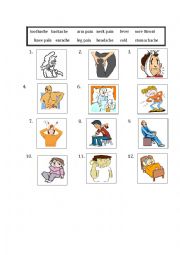 English Worksheet: Pain and ache