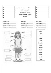 English Worksheet: body parts