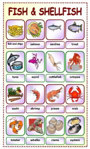 Fish and Shellfish:pictionary_5