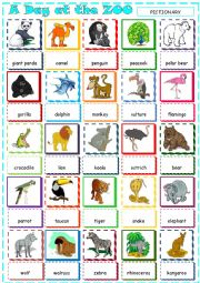 English Worksheet: A Day at the Zoo