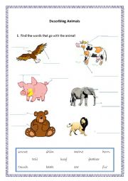 English Worksheet: Describing animals