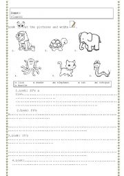 English Worksheet: ANIMALS (speaking/writing activity)