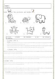 ANIMALS (speaking/writing activity)