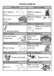 English Worksheet: Animals around me