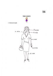 English Worksheet: Body