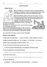 English Worksheet: Save the gorillas