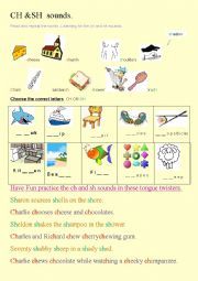 English Worksheet:  ch and sh 