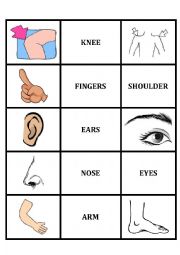 English Worksheet: Memory Body Parts