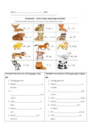English Worksheet: has/have worksheets
