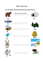 English Worksheet: Where they live?