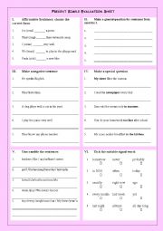 English Worksheet: Present Simple Evaluation Sheet