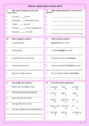 Present Simple Evaluation Sheet