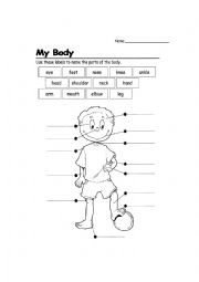 English Worksheet: My body