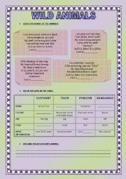 English Worksheet: wild animals