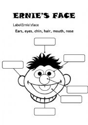 English Worksheet: Ernies face