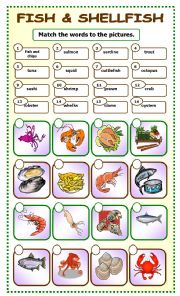 English Worksheet: Fish and Shellfish:matching_5