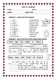 English Worksheet: review exercises