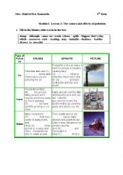 English Worksheet: Causes and effects of pollution