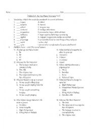 English Worksheet: Malcolm X Test