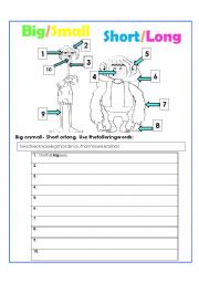 English Worksheet: big and small