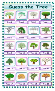 English Worksheet: Guess the Tree