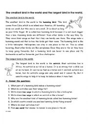English Worksheet: The smallest and largest bird in the world