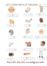 English Worksheet: body parts