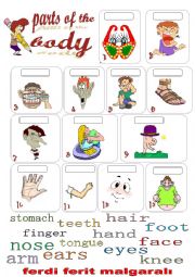 English Worksheet: body parts