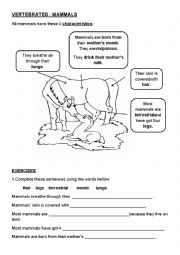 English Worksheet: mammals characteristics