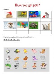 English Worksheet: pets