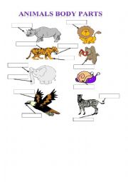 English Worksheet: animals body part 