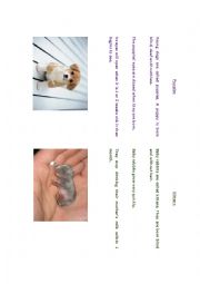 English Worksheet: Baby animal reading jigsaw