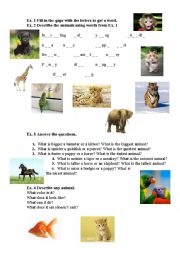 English Worksheet: comparing animals