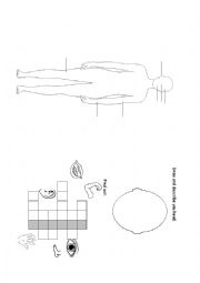 English Worksheet: My body