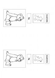 English Worksheet: Big/Little Bear