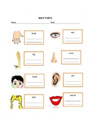 English Worksheet: body parts