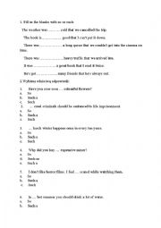 English Worksheet: SO /SUCH exercises