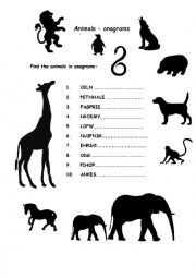 Anagram - animals